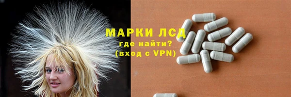 ПСИЛОЦИБИНОВЫЕ ГРИБЫ Коряжма