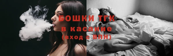 ПСИЛОЦИБИНОВЫЕ ГРИБЫ Коряжма