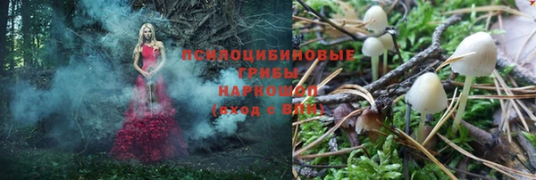ПСИЛОЦИБИНОВЫЕ ГРИБЫ Коряжма